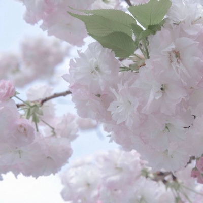 Furry创作脑洞合集福瑞交流群